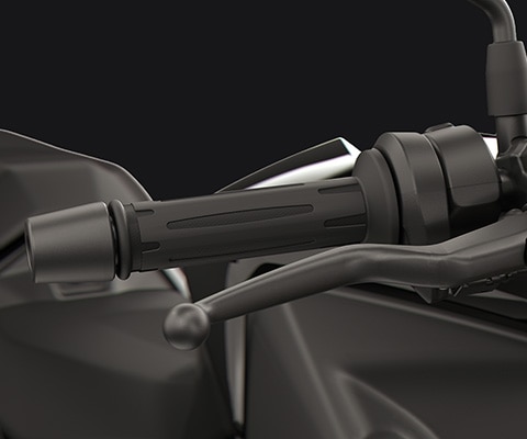 Verstellbare Handhebel und Heizgriffe der F 450 R von BMW Motorrad