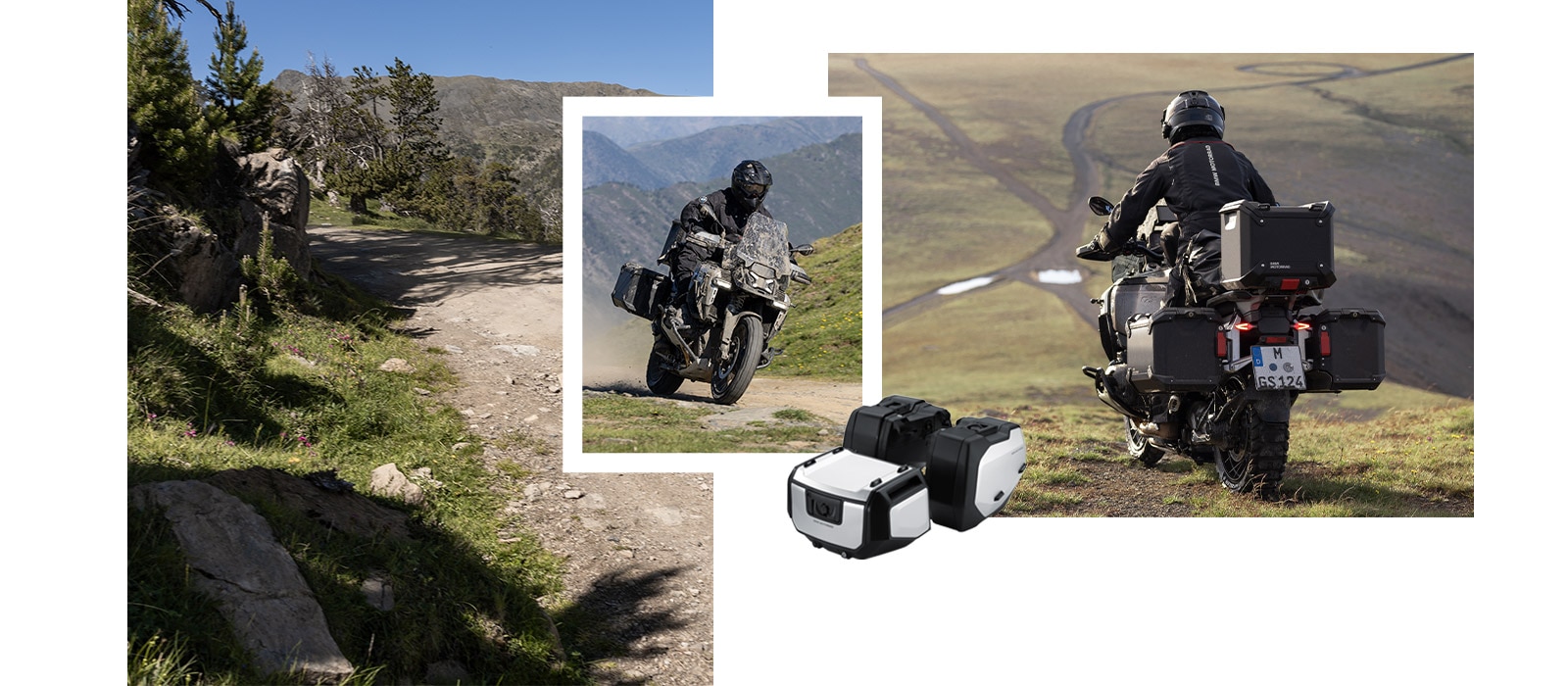 Highlight des Monats